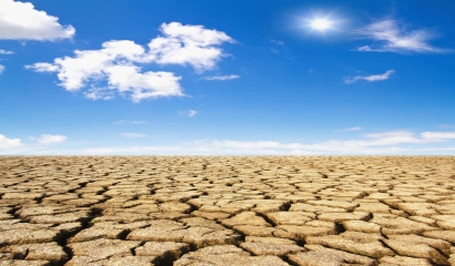 干旱區(qū)生物多樣性保護的形勢與任務